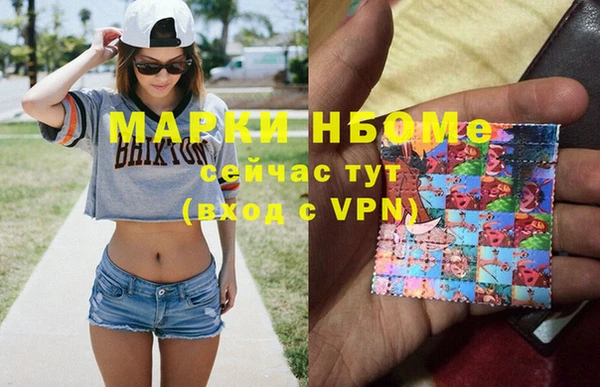 мдпв Гусев