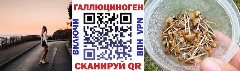 блэк спрут как войти  Боготол  маркетплейс Telegram  Псилоцибиновые грибы мицелий 